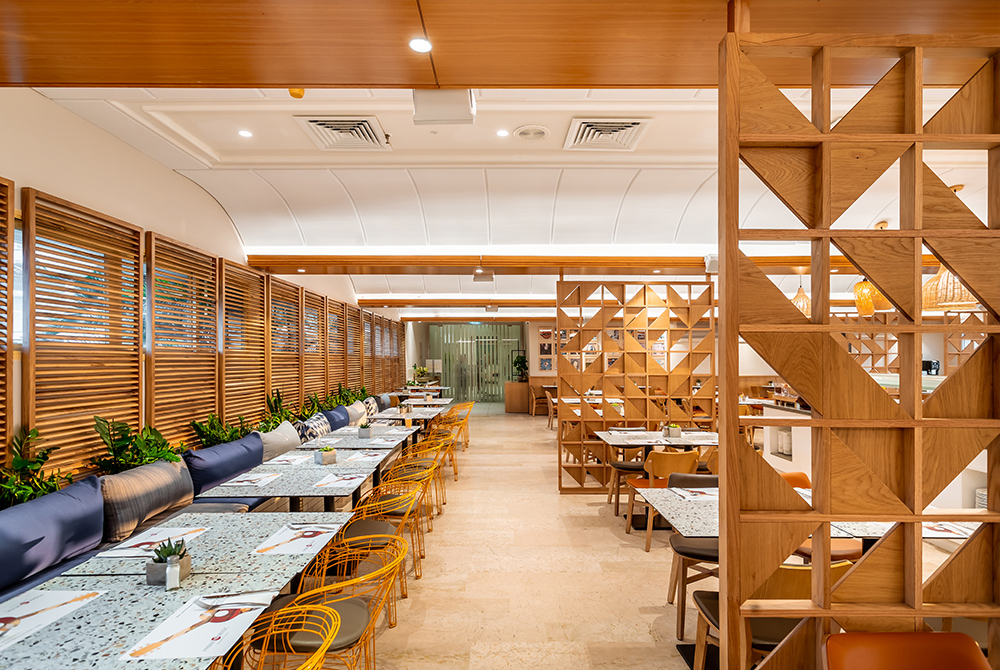 פרימה מיוזיק 6